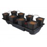 Wilma Wide XL 8 Pot System Nutriculture Grow Systems Grow Systems £229.95 wilma-XL wide 8 pot