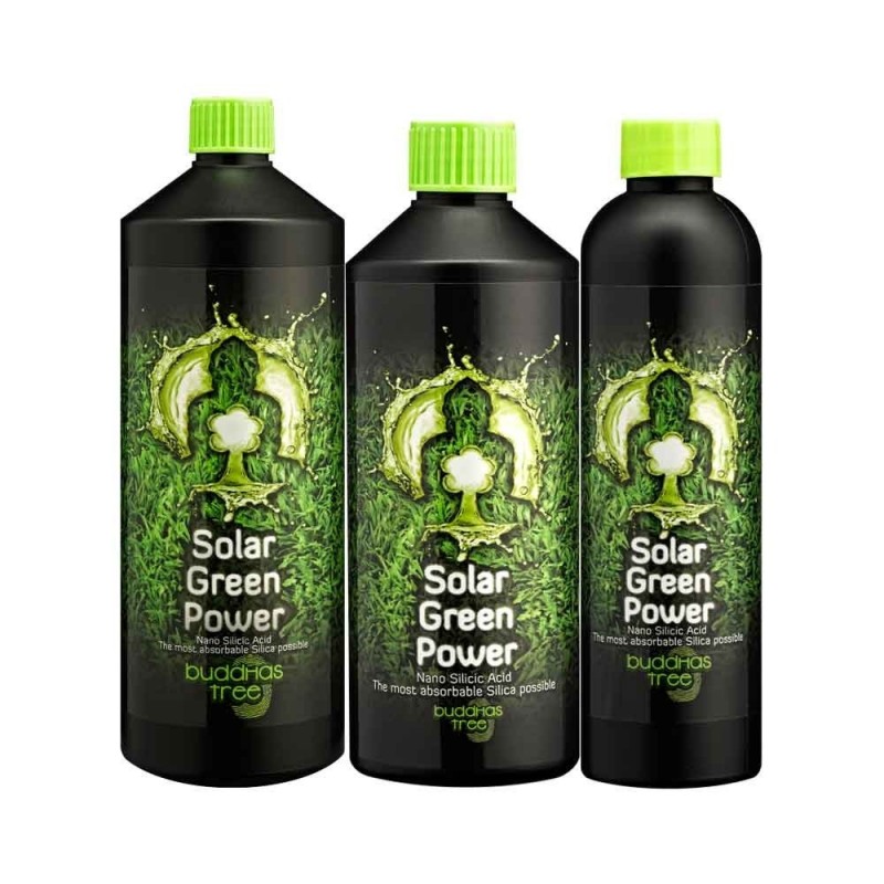 Buddhas Tree - Solar Green Power Silicic Acid  Silicons £24.95 Solar Green Power