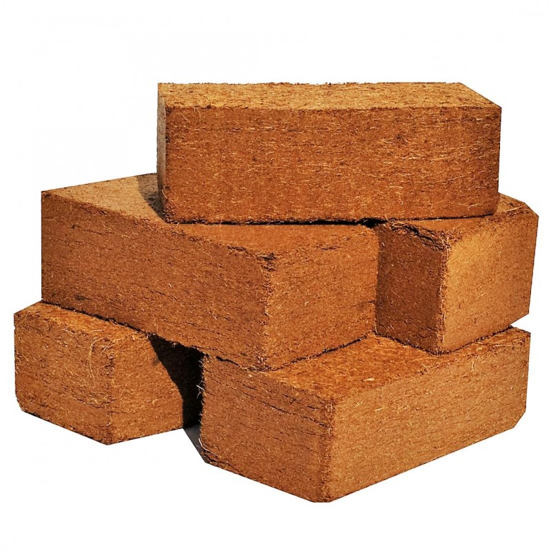 Coco Bricks  Grow Media £1.50 coco bricks